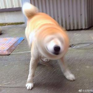 女厕pⅰSs尿jaPanese
